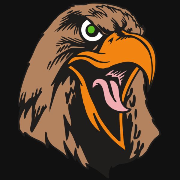 BAW HWK FLCN 01 RC Thumbnail