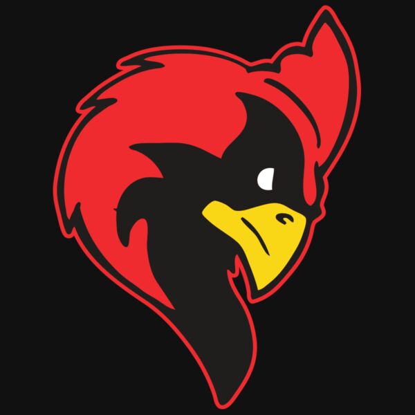 AR CARDINAL 24 RC Thumbnail