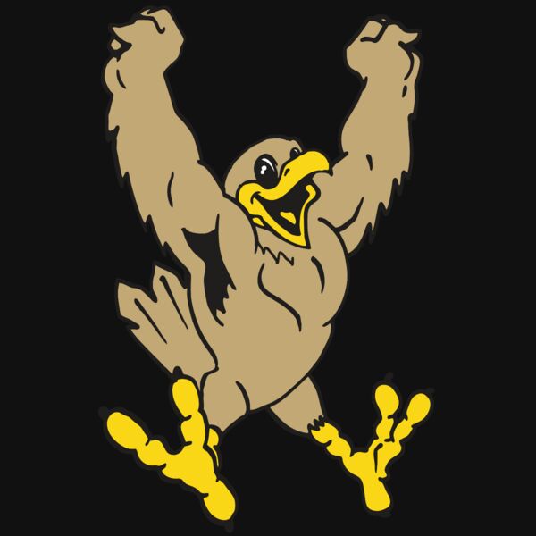 AR EAGLE 21 RC Thumbnail