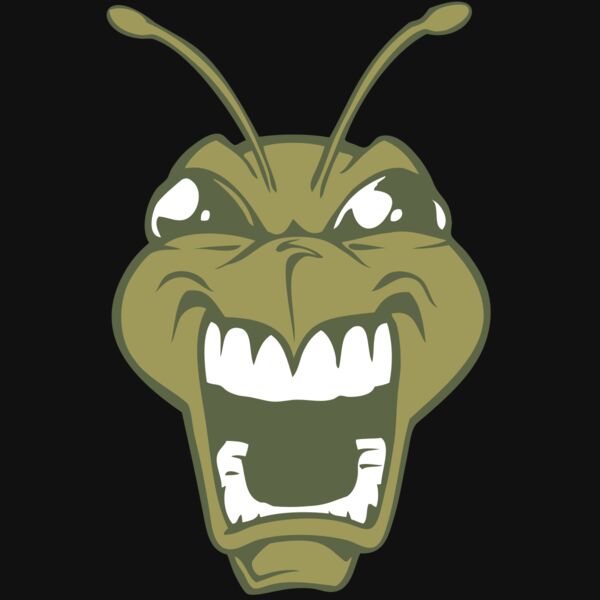 BAW BEE 13 RC Thumbnail