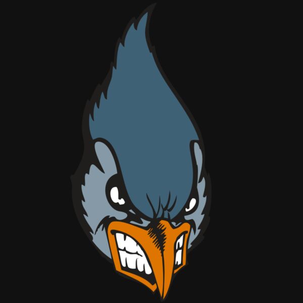 BAW BLUEJAY 01 RC Thumbnail