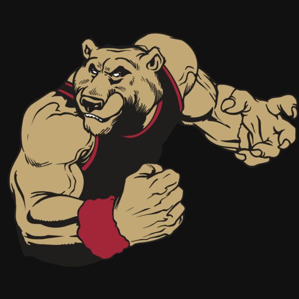 AR BEAR 40 RC Thumbnail