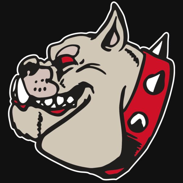 AR BDOG 47 RC Thumbnail