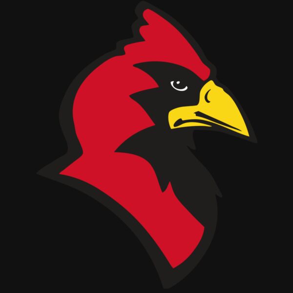 AR CARDINAL 20 RC Thumbnail