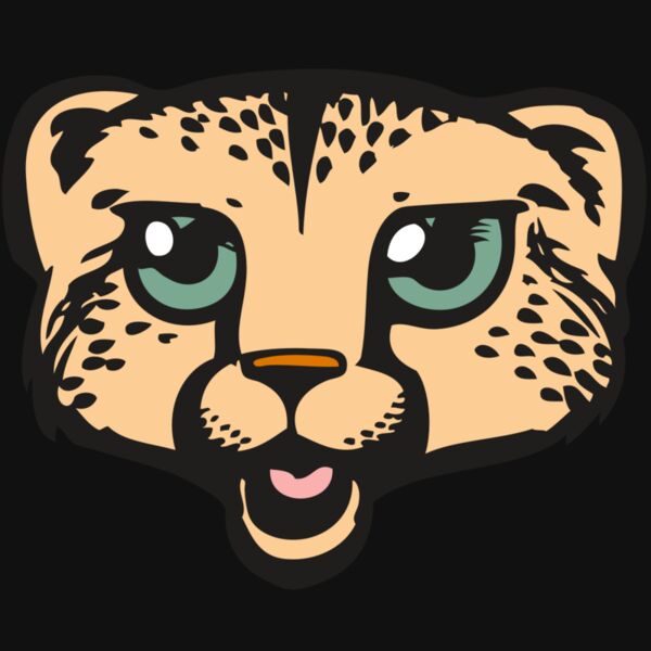 BAW CHEETAH 18 RC Thumbnail