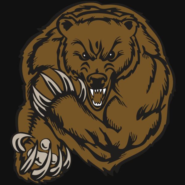 BAW BEAR 07 RC Thumbnail