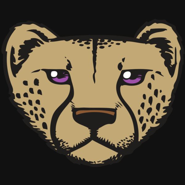 BAW CHEETAH 14 RC Thumbnail