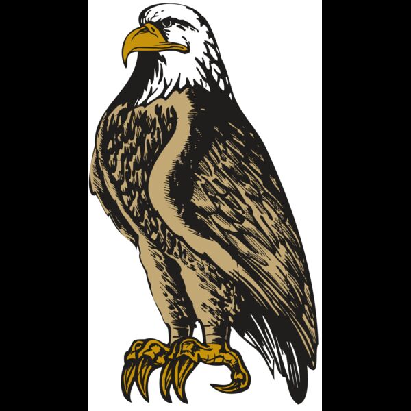 BAW EAG 02 RC Thumbnail