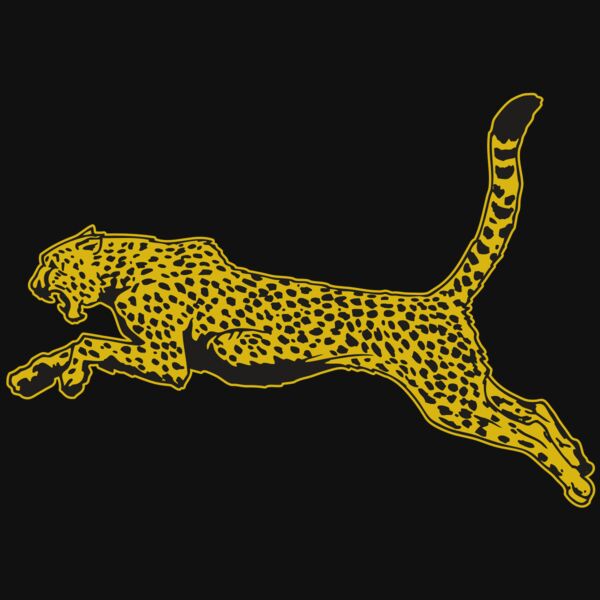 AR CHEETAH 10 RC Thumbnail