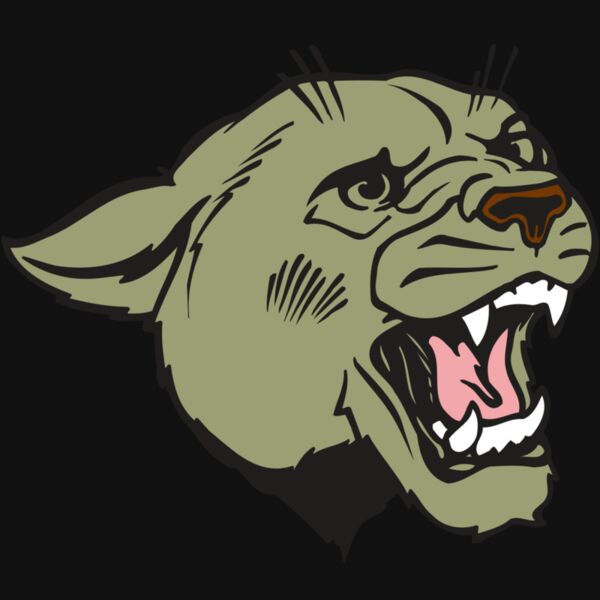 AR COUGAR 40 RC Thumbnail