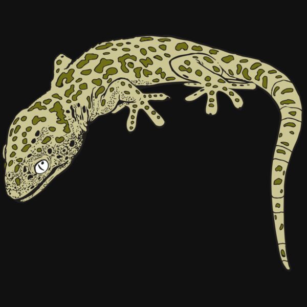 AR GEKO 19 RC Thumbnail