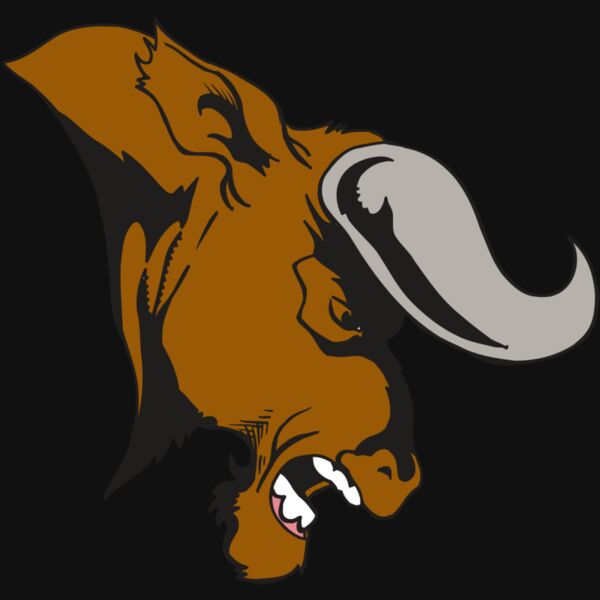 AR5 BULL 07 RQC Thumbnail