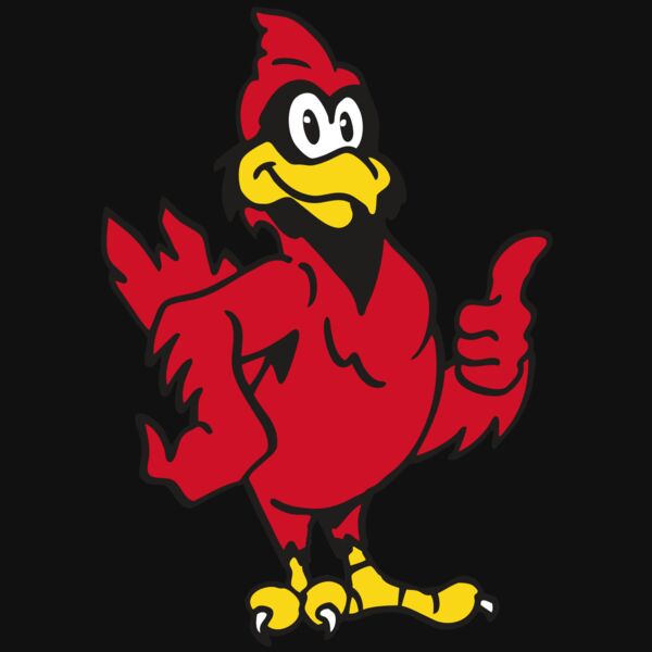 AR CARDINAL 26 RC Thumbnail