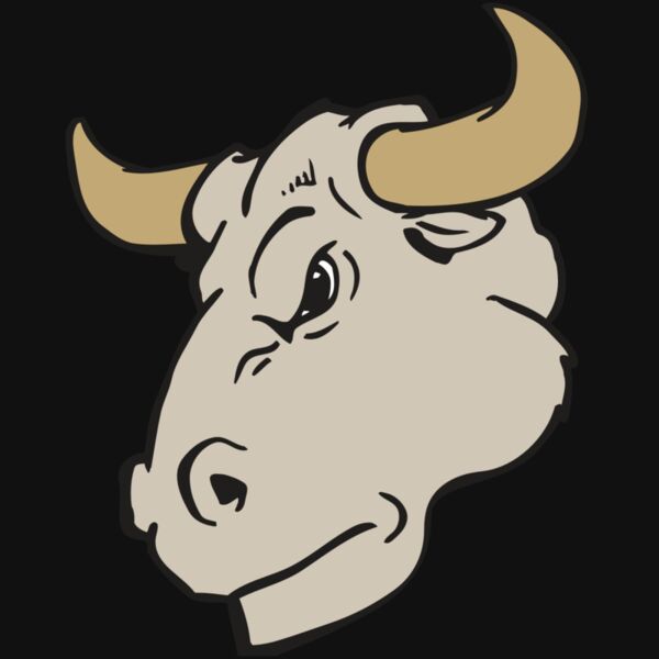 AR BULL 25 RC Thumbnail