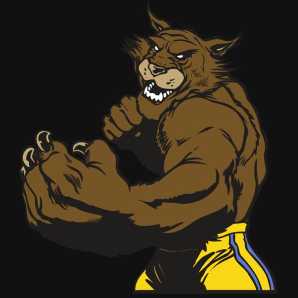 AR WILDCAT 48 RC Thumbnail