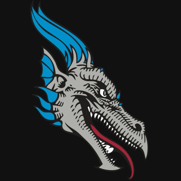 BAW DRAGON 07 RC Thumbnail