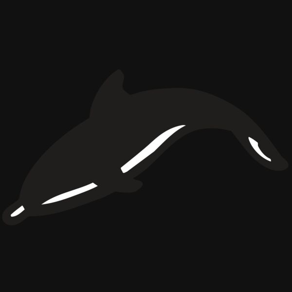 AR DOLPIN 16 RC Thumbnail