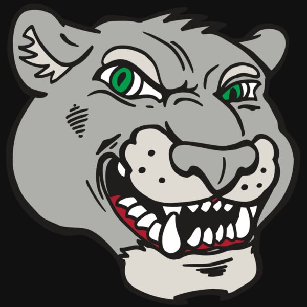 AR5 Cougar 06 RQC Thumbnail