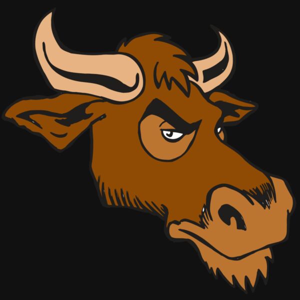 AR5 Bull 06 RQC Thumbnail