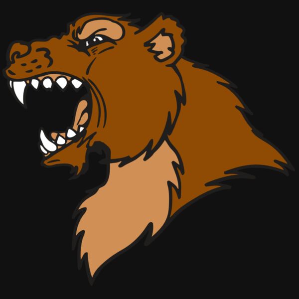 AR BEAR 22 RC Thumbnail