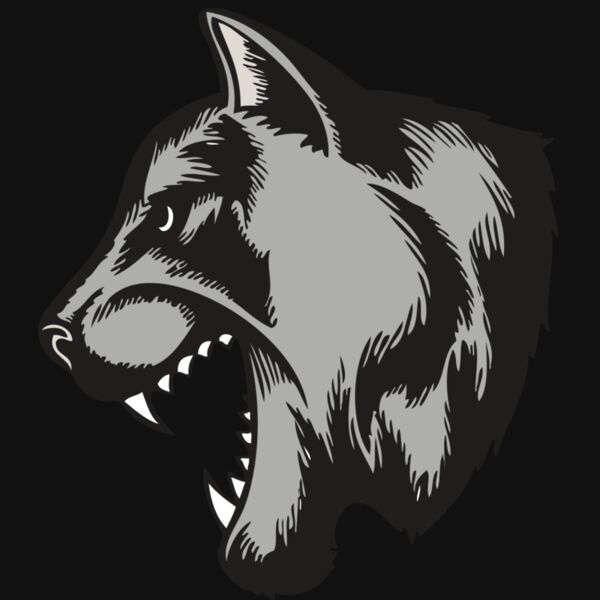 BAW COUG PANTH 06 RC Thumbnail