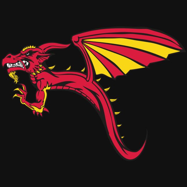 BAW DRAGON 02 RC Thumbnail