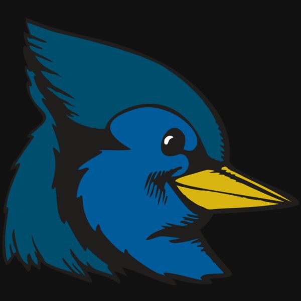 BAW BLUEJAY 07 RC Thumbnail