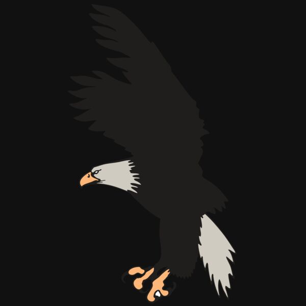 AR EAGLE 91 RC Thumbnail