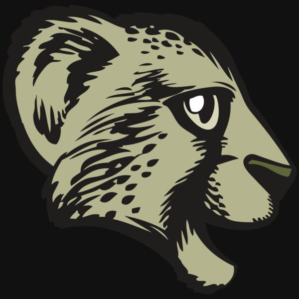 BAW CHEETAH 17 RC Thumbnail