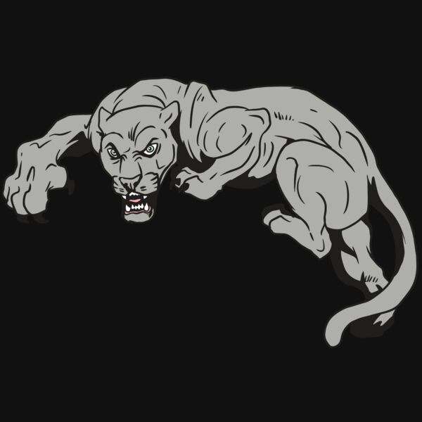 AR10 PANTHER 02 RQC Thumbnail