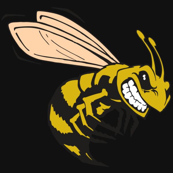 AR BEE 50 RC Thumbnail