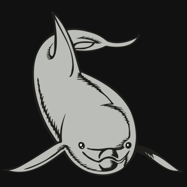 BAW DOLPHIN 02 RC Thumbnail