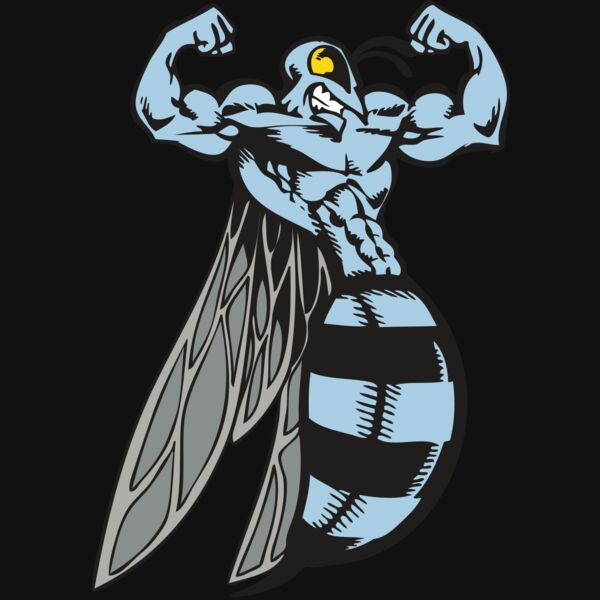 BAW BEE 08 RC Thumbnail