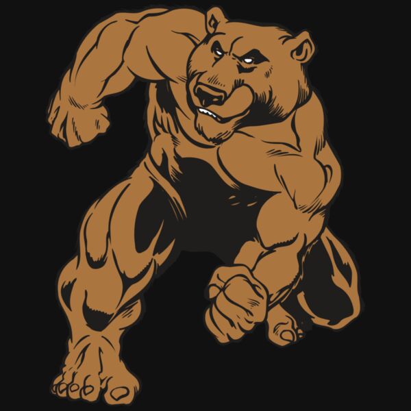 AR BEAR 35 RC Thumbnail