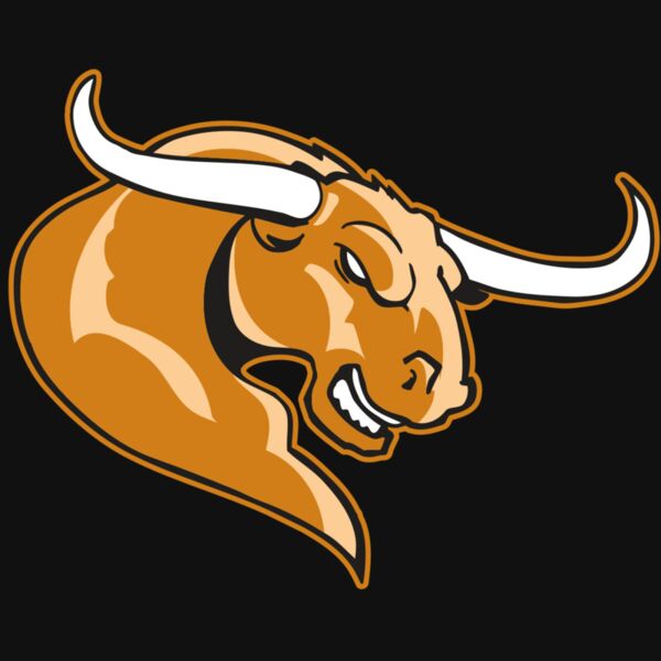 AR BULL 14 RC Thumbnail