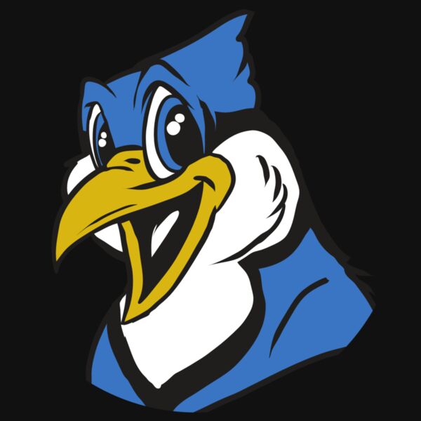 AR31 BLUEJAY 01 RQC Thumbnail