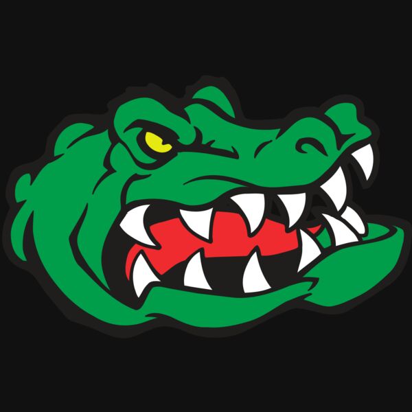 AR GATOR 19 RQC Thumbnail