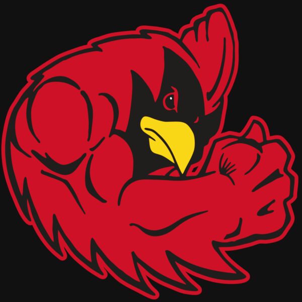 AR CARDINAL 29 RC Thumbnail