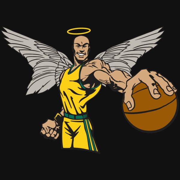 AR17 ANGEL BSKT 06 RQC Thumbnail