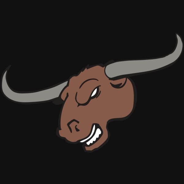 AR BULL 10 RC Thumbnail