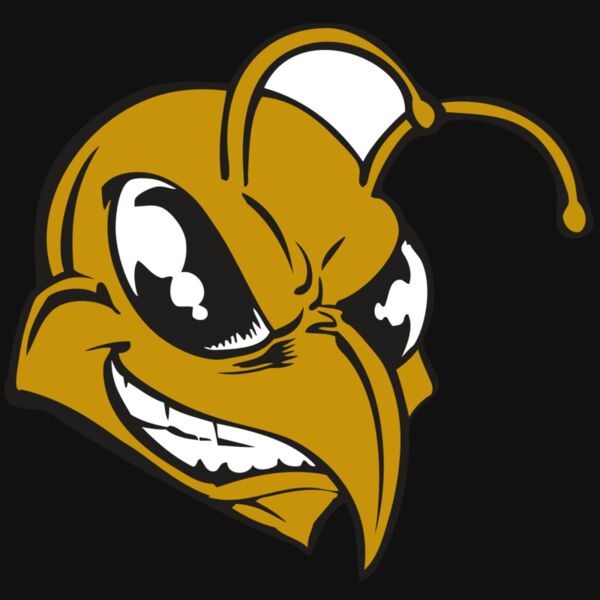 BAW BEE 18 RC Thumbnail