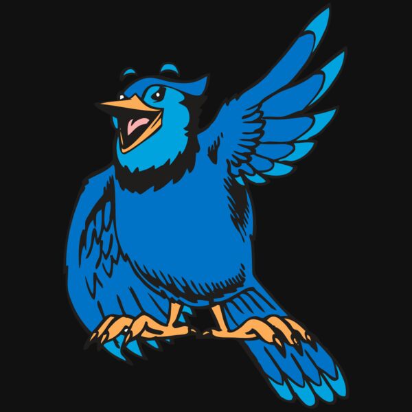 BAW BLUEJAY 06 RC Thumbnail