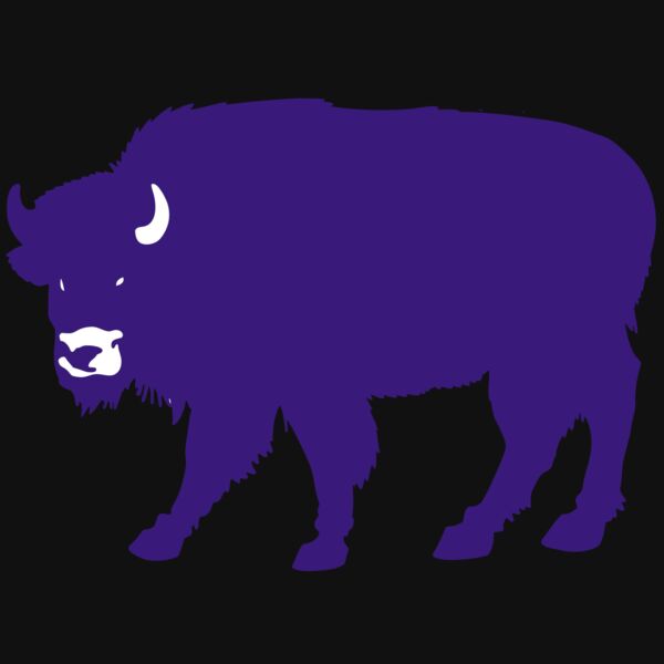 AR BUFF 23 RC Thumbnail