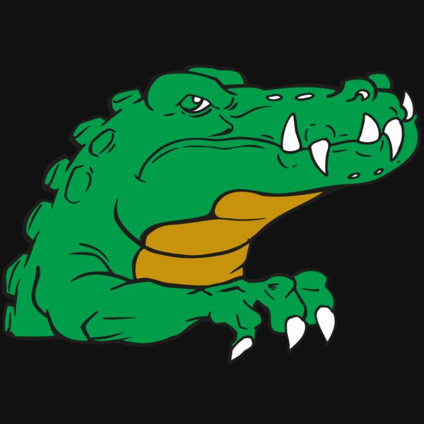 AR GATOR 22 RQC Thumbnail