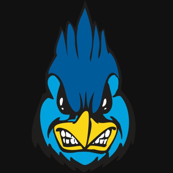 BAW BLUEJAY 02 RC Thumbnail