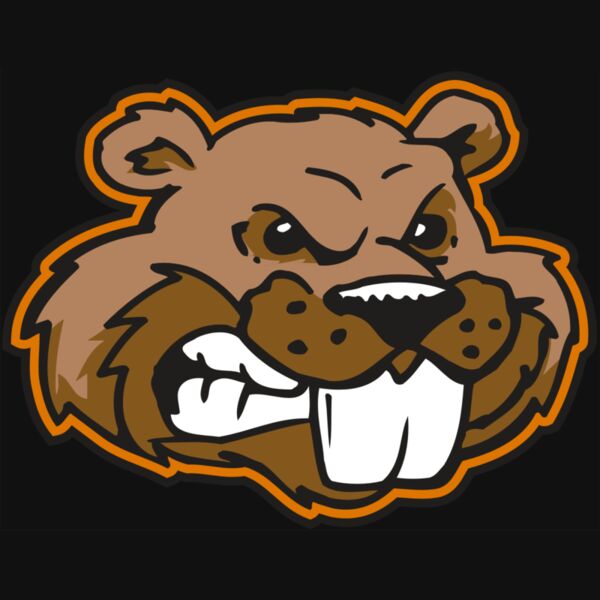 AR BEAVER 11 RC Thumbnail