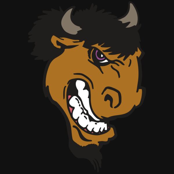 AR BUFFALO 13 RC Thumbnail