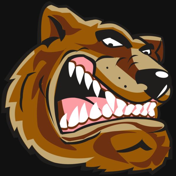 BEAR HD0502 RQC Thumbnail