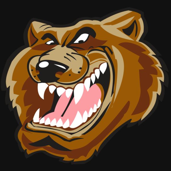 BEAR HD0503 RQC Thumbnail