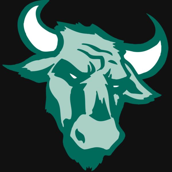 AR BULL 37 RC Thumbnail